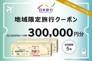 北海道倶知安町　日本旅行　地域限定旅行クーポン300,000円分 ツアー 宿泊 旅行 交通 5年 トラベル 宿泊券 チケット スキー スノボ 旅行券 観光 北海道 旅行 ニセコ 倶知安町 