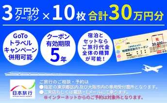 日本旅行　地域限定旅行クーポン【300，000円分】