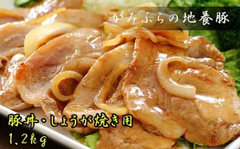 かみふらのポーク【地養豚】豚丼・生姜焼き用ロース1.2kg