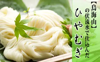 ひやむぎ200g×10束（20人前 冷麦 冷や麦） 麺類 