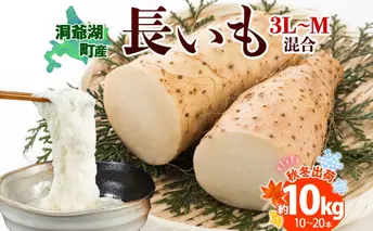 北海道産 長いも 秋冬出荷 約10kg 2024年11月中旬～2025年3月下旬お届け 長芋 ながいも とろろ 農作物 野菜 新鮮 根菜 新物 山かけ 産地直送 お取り寄せ 送料無料 冷蔵 北海道 洞爺湖町