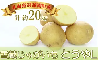 雪蔵じゃがいも 20kg とうやＬサイズ 2025年3月上旬～3月末までお届け ジャガイモ 芋 甘い なめらか しっとり ポタージュ カレー 調理 料理 煮込み料理 雪蔵 旬 季節 農作物 野菜 根菜 北海道 洞爺湖町