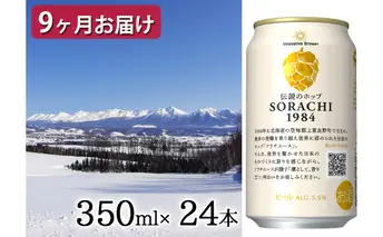 ◆定期便(全9回)◆SORACHI 1984≪ソラチ1984≫2箱（350ml×24缶）
