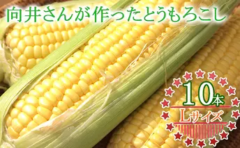 向井さんが作ったとうもろこし［Lサイズ10本］※8月下旬より順次出荷 野菜 