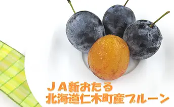 JA新おたるの季節のプルーン1.6kg（北海道仁木町産）