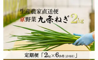 【6か月定期便】生産農家直送　京野菜・九条ねぎ　2kg×6回