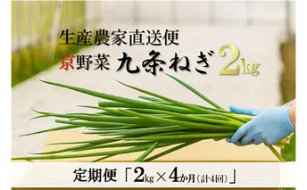 【4か月定期便】生産農家直送　京野菜・九条ねぎ　2kg×4回