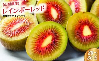 【山梨県産】新種のキウイフルーツ(レインボーレッド) [5839-0122]