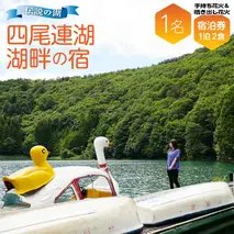 手持ち花火＋噴き出し花火＆四尾連湖畔の宿　宿泊セット（1名1泊2食）[5839-1029]