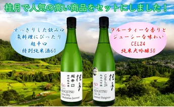土佐　れいほくの地酒　フルーティーな純米大吟醸酒と超辛口・特別純米酒セット