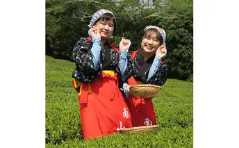 【体験期間：6月末まで】村内の茶畑で茶摘み＆手もみ製茶体験！茶娘衣装貸出付き（大人ペアチケット）
