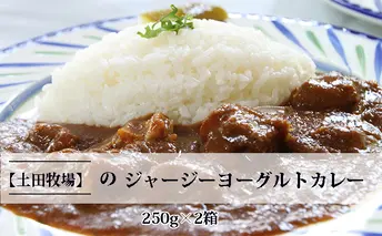 ジャージーヨーグルトカレー 250g×2箱 加工食品 惣菜 レトルト インスタント 