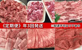 【3回お届け】神戸牛・志方牛食べ比べセット