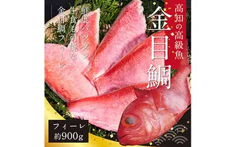 数量限定　海鮮金目鯛のフィーレ900g＜高知市共通返礼品＞