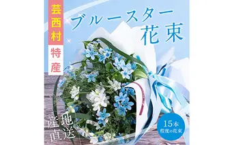 《先行予約》芸西村特産ブルースター花束（約15本程度の花束）