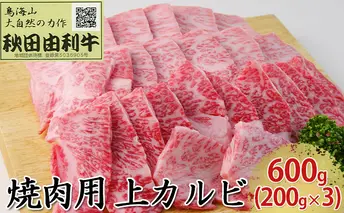 秋田由利牛 焼肉用 上カルビ 600g（200g×3パック 焼き肉）
