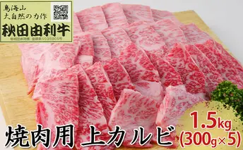 秋田由利牛 焼肉用 上カルビ 1.5kg（300g×5パック 焼き肉） バラ(カルビ) お肉 牛肉 バーベキュー 