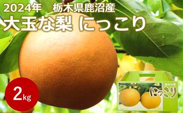 【2024年栃木県鹿沼産】大玉な梨（にっこり） 約2kg