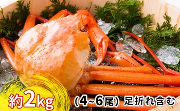 紅ズワイガニ約2kg（4～6尾）【棚辺水産】