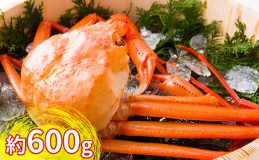 紅ズワイガニ約600g【棚辺水産】