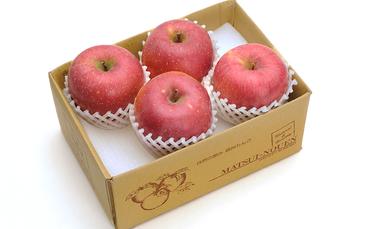 信州小諸 松井農園の秋映 約2kg 果物類・林檎・りんご・リンゴ
