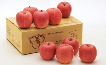 信州小諸　松井農園のサンふじ　約3.5kg 果物類・林檎・りんご・リンゴ