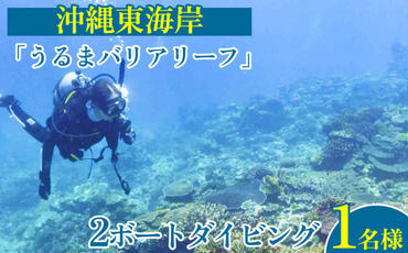 沖縄東海岸「うるまバリアリーフ」で2ボートダイビング（1名様）