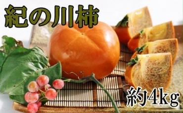 【希少】紀の川柿(種無し)約3.5～4kg・秀品 ※2024年10月中旬～11月中旬頃に順次発送予定