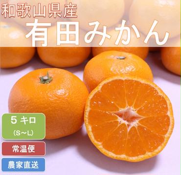 こだわりの和歌山県産 有田みかん 5kg（S～Lサイズおまかせ）ひとつひとつ手選別で厳選！生産者から直送◇ ※2024年11月下旬頃より順次発送予定