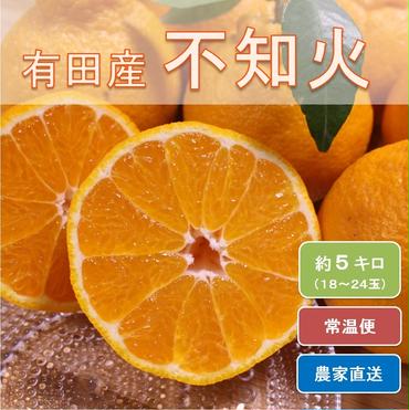 和歌山県有田産 不知火 約5kg（18～24玉）ひとつひとつ手選別で厳選！生産者から直送◇ ※2025年2月中旬頃より順次発送予定