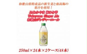JAわかやま 梅ひと雫 Wakayama Ginger Ale 和歌山ジンジャーエール 250ml ×24本×2ケース(48本)