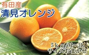 【産直】有田産清見オレンジ約5kg（秀品サイズおまかせ）※2025年2月上旬～3月下旬頃に順次発送予定