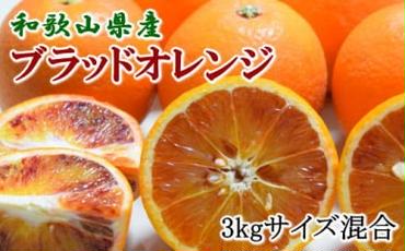 【希少・高級柑橘】国産濃厚ブラッドオレンジ「タロッコ種」約3kg※2024年4月中旬～2024年4月下旬頃に順次発送予定