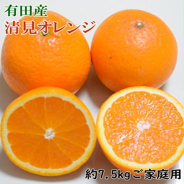 【産直】有田産清見オレンジ 約7.5kg（訳あり家庭用サイズおまかせまたは混合）※2025年2月上旬～3月下旬頃に順次発送予定