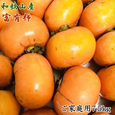 和歌山産富有柿ご家庭用約7.5kg ※2024年11月上旬～12月上旬頃に順次発送予定 ※離島への配送不可
