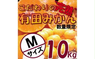 CC6203_＼農家直送／完熟 有田みかん 10kg Mサイズ 有機質肥料100%