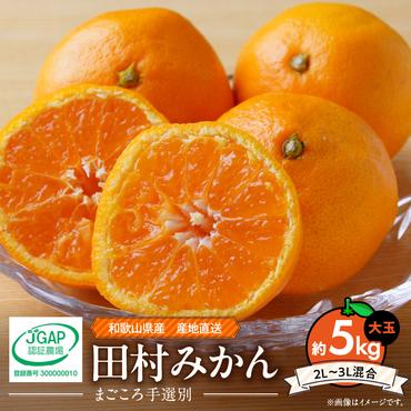 ZE6345n_和歌山 湯浅町産 田村みかん 5kg【大玉】