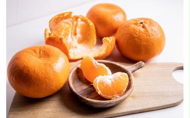 CE6107n_【香り高い柑橘】和歌山県有田産 麗紅 4kg