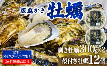  定期便 牡蠣 坂越かき 剥き牡蠣 300g×2、殻付き牡蠣 12個 オイスターナイフ付き【2ヵ月連続お届け】[ 生牡蠣 かき カキ 生食 冬牡蠣 ]