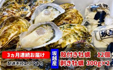  定期便 牡蠣 坂越かき 剥き牡蠣 300g×2、殻付き牡蠣 12個 オイスターナイフ付き【3ヵ月連続お届け】[ 生牡蠣 かき カキ 生食 冬牡蠣 ]