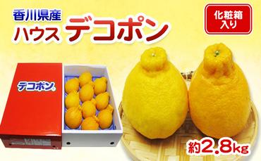 ハウスデコポン 2.8kg 化粧箱 香川県産 デコポン でこぽん フルーツ 果物 くだもの 旬のフルーツ 旬の果物 柑橘 柑橘類 ハウス みかん ハウスみかん 香川 香川県 東かがわ市