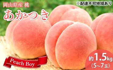 桃 2024年 先行予約 あかつき 約1.5kg（5～7玉）もも モモ 岡山県産 国産 フルーツ 果物 ギフト