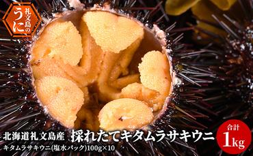 【先行予約】 北海道 礼文島産 採れたて キタムラサキウニ 塩水パック 100g×10 生うに 生ウニ  塩水うに