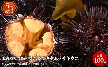 【先行予約】 北海道 礼文島産 採れたて キタムラサキウニ 塩水パック 100g×1 生うに 生ウニ  塩水うに