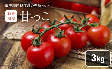 北海道 富良野市産 完熟ミニトマト（甘っこ）約3kg カラートマト付 トマト 甘い 野菜 新鮮 数量限定 先着順【藏ファーム】
