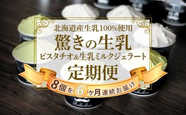 ＜6ヶ月定期便＞北海道産 生乳 ジェラート アイス 毎月8個 ピスタチオ ＆ 生乳ミルク 各4個  詰め合わせ ジェラートセット
