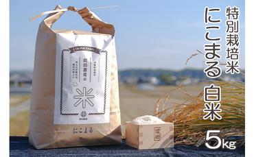令和4年産 特別栽培米 にこまる 白米5kg