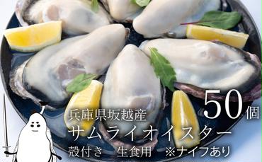 牡蠣 生食 坂越かき 殻付き 50個(牡蠣ナイフ・軍手付き)サムライオイスター 生牡蠣 冬牡蠣