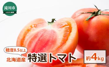 北海道産 特選トマト(糖度8.5以上)20～39玉 約4kg＜2024年7月上旬～順次出荷＞｜北海道 滝川市 とまと トマト 野菜 糖度 2024年発送 先行受付 やさい