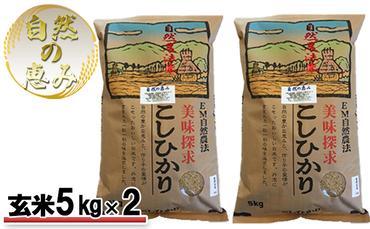 自然農法米こしひかり「自然の恵み」玄米5kg×2個《特別栽培米》
